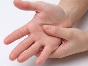 ��������ԭ�� �������Ľ���