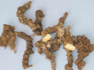 ����ʥɢ�Ӵ��� ����ʥɢ�ӹ�Ч ����ʥɢ�Ӹ�������