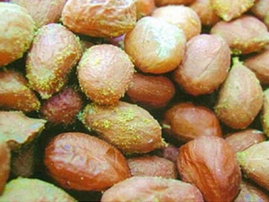 ʳ﷢ùô ηֹʳ﷢ù