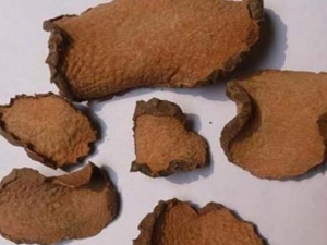 ��ҩ�ӵĹ�Ч�����ü�����