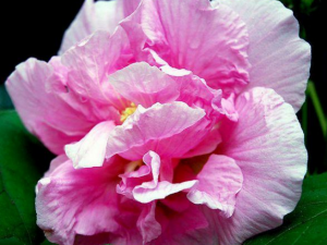 �����۾���