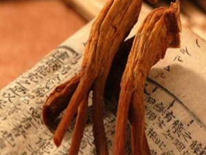 ﶬʺúν Щ˲ܳԺأ