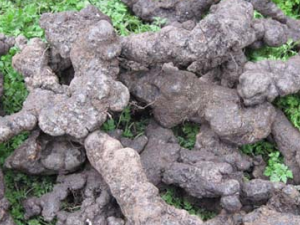 �а�ɢ����� �а�ɢ�Ĺ�Ч