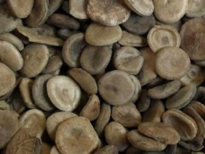 ��Ǯ�ӵĹ�Ч�����ü�����