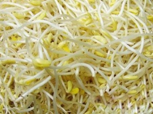 ��ѿ��Ӫ����ֵ ��ѿ��ʳ�÷���