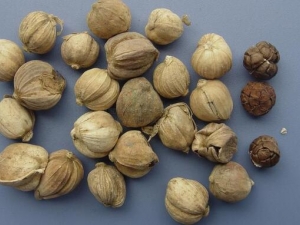 �׶�ޢ�Ĺ�Ч�����ü�����