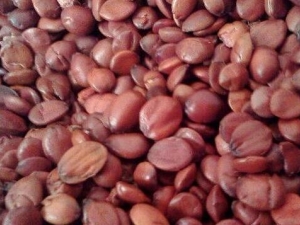 �����ʵĹ�Ч�����ü�����