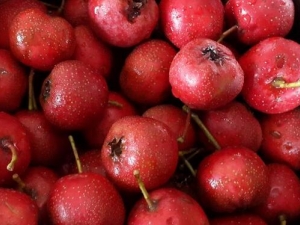 ����Ƥ�������ʲô�ã������ζ��ˮ��