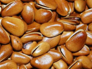 ��(����)����������� ��(����)�������Ĺ�Ч