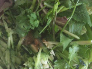 ��Ԫ��������� ��Ԫ�������÷�����