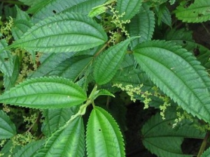 ݩ��������Ĵ��� ݩ������������