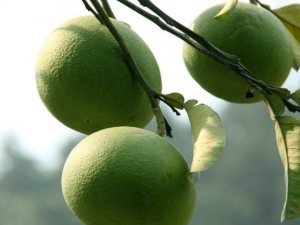 ��ҽ���۾���ɫ����ļ��� ��ῴ��