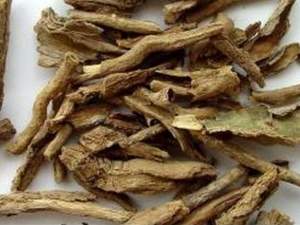 ÷���Ĺ�Ч������ ����ʪ ���Ƚⶾ