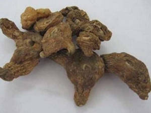 �Ӳ������� �Ӳ�����Ч �Ӳ�����������