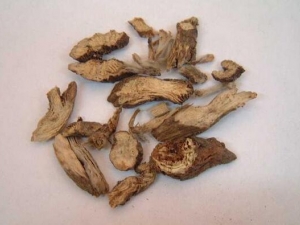 èצ�ӵĹ�Ч������