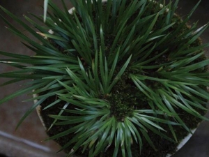 �����ѡ�ʯ���ѡ�ˮ���ѵļ���