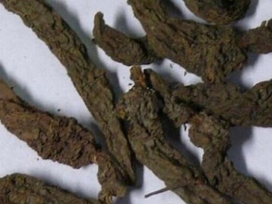 ���ꪵĹ�Ч������ ���ꪵ��ٴ�Ӧ��