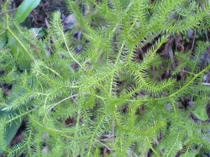 ���ݵĹ�Ч�����ü�����