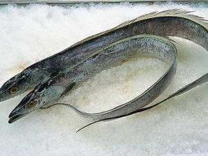 �����Ӫ����ֵ �����ʳ�÷���