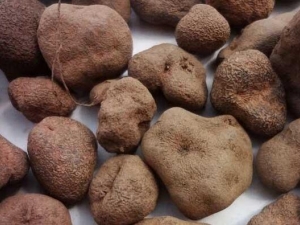 ����Ĺ�Ч�����ü�����