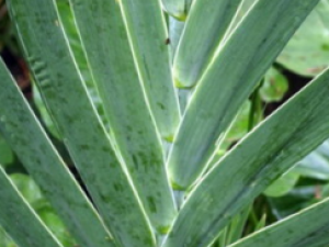 ��Ҳ���������� ������ߵ�ƫ������Щ