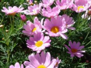 ����˯���ϰ��� ��ο˷�˯���ϰ�