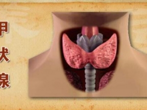 ��״�ٽ����ô�� ��״�ٽ�ڻ��߳�ʲô��