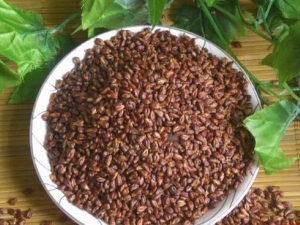 �����ѵ�Ӫ����ֵ �����ѵĹ�Ч������