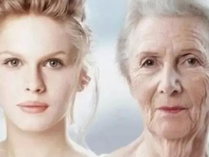 ˥�ϵ�ԭ�� ��˥�ϳ�ʲô��