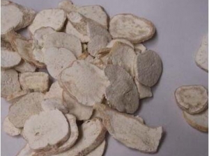 �컨�۵Ĺ�Ч�����ü�����