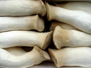 �ӱ�����Ӫ����ֵ �ӱ�����ʳ�÷���