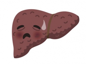 ƾε֢״ ƾεΣ ƾô