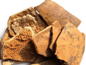 �����δ��ű�ů С�����֧��