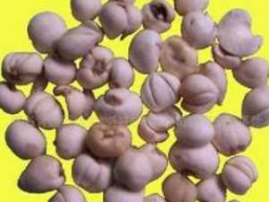 ����ҩ�ڼ���һЩ�ɿ����� ��֪����