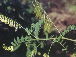 ƽθ账 ƽθ蹦Ч ƽθ