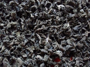 ľ����Ӫ����ֵ��ѡ�� ľ����ʳ�÷���