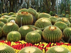 �����Ĺ�Ч������