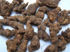 ��ζƽθɢ���� ��ζƽθɢ��Ч ��ζƽθɢ��������