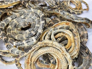 ޭ�ߵĹ�Ч������ ޭ�ߵļ��𷽷�