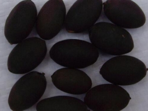 ʯ���ӵĹ�Ч�����ü�����