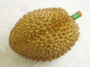 �����ǵ�Ӫ����ֵ �����ǵ�ʳ�÷���