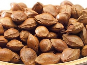 �����ʵĹ�Ч�����ü�����