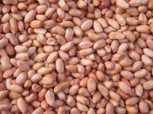 �Ի����׵ĺô� �Ի��������׳�����