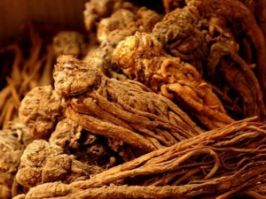 �ֽű�����ô�� �ֽű�����ʲô��ҩ��