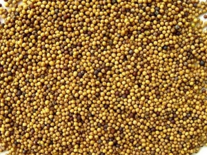 �ƽ��ӵĹ�Ч�����ü�����