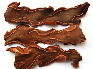 �����Ĺ�Ч�����ü�����