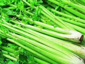 �۲�ʳ��ͻ��8������ ��֪����