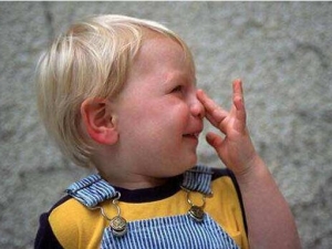 ������ô�� �������Ԥ��