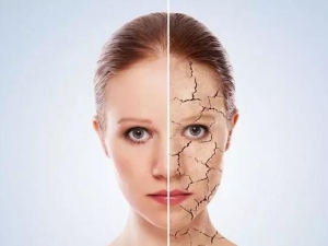 �����۷���˥�Ϸ��� ���ɨ����֬��