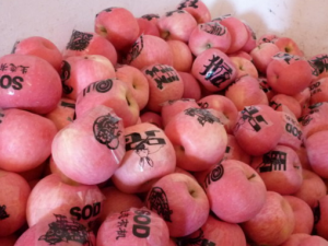 ������Ĺ�Ч���� ��������÷�����